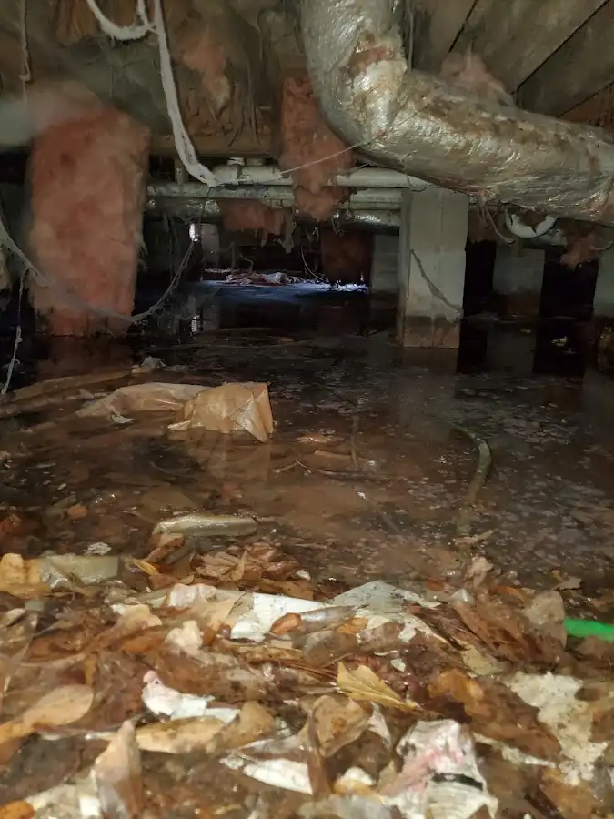 Crawl space flood assessment for Leak Detection & Repair in Attica